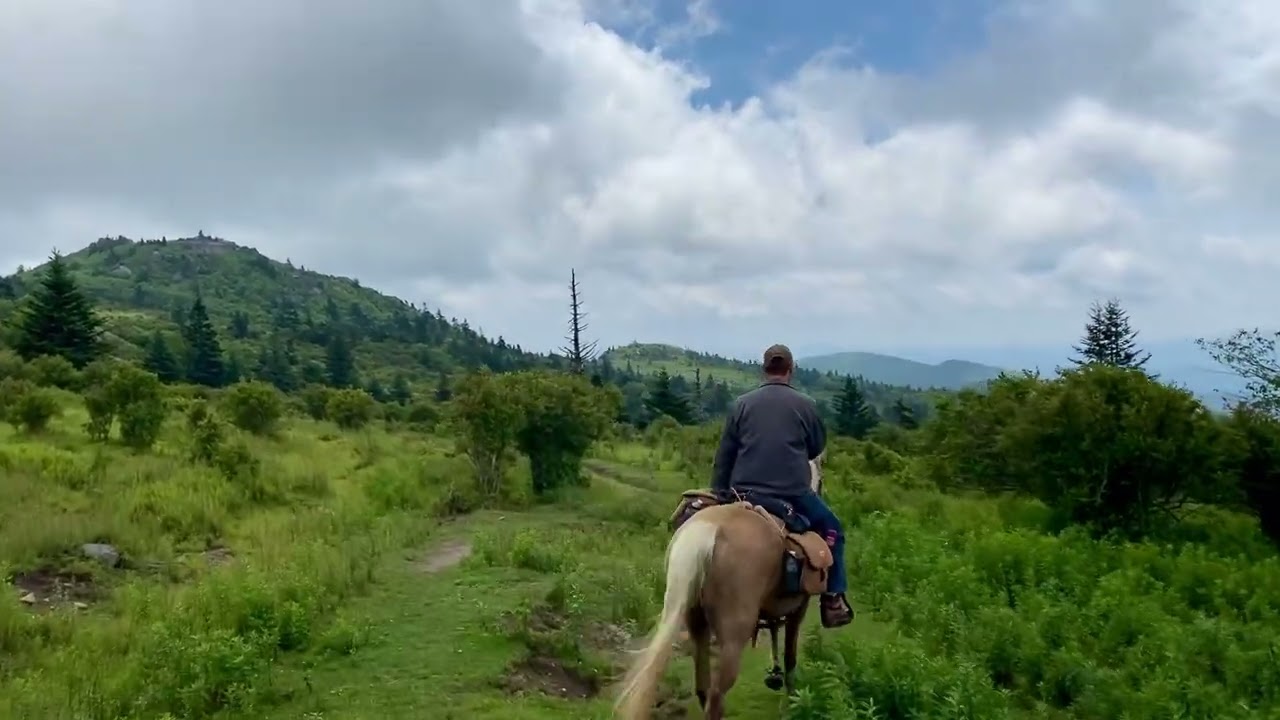 Rhododendron Gap Trail, Mt Rogers, VA 