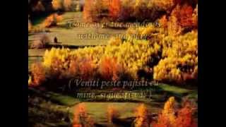 Ernesto Cortazar - Leaves In The Wind; Lyrics : George Cooper ( Traducere română )