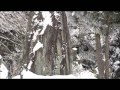 雲辺寺の雪景色