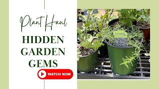 You Won't BELIEVE What I Found at This Hidden Garden Shop! by Auyanna Plants 220 views 2 days ago 29 minutes