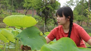 【二米炊煙】China's Summer Harvest, Cook with Lotus Leaf. 夏收時節，為家人做5種簡單又健康的美食