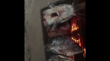 Cá nướng Mắc Khén