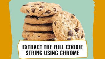 How To Copy The Full Cookie String From Any Website Using the Chrome Browser