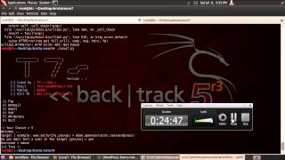 brute force  wordpress and  joomla in back track with wpscan and another tools