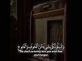 ولنبلونكم بشيء من الخوف والجوع القارئ محمد صديق المنشاوي قرآن ولنبلونكم بشيء من الخوف والجوع القارئ محمد صديق المنشاوي قرآن