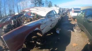 Junk yard Adventures  at LKQ