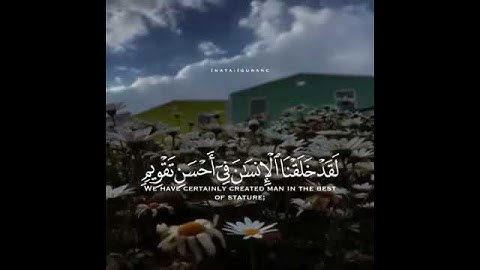 والتين والزيتون 🍃💜 تلاوة جميلة للقارئ هزاع البلوشي