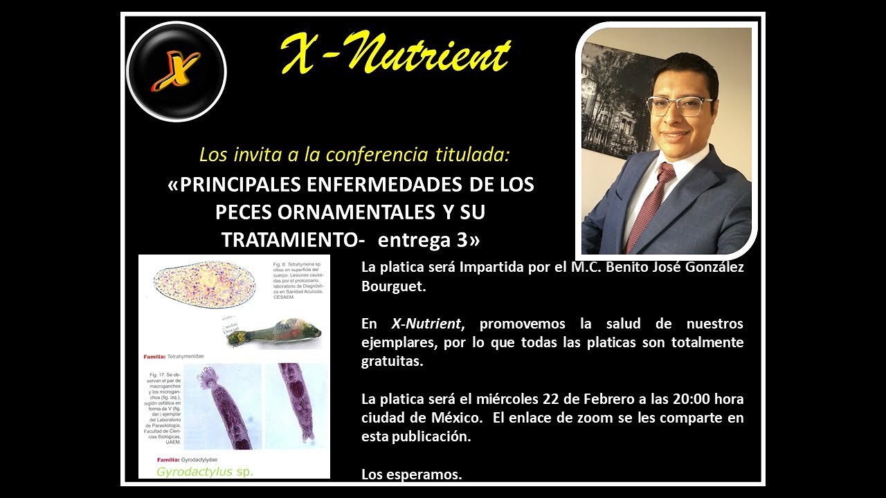 ENFERMEDADES DE LOS PECES ORNAMENTALES Y SU TRATAMIENTO- Tercera entrega (Lernaeosis)