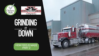 Grinding it down - How pig feed is made! Part 2 What Ontario Pigs Eat