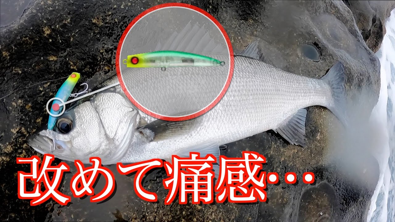 改めて痛感•••シンペンの重要性【磯ヒラ】 - YouTube