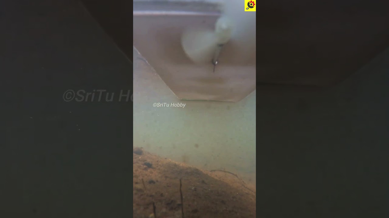 RC Boat Underwater Camera view 