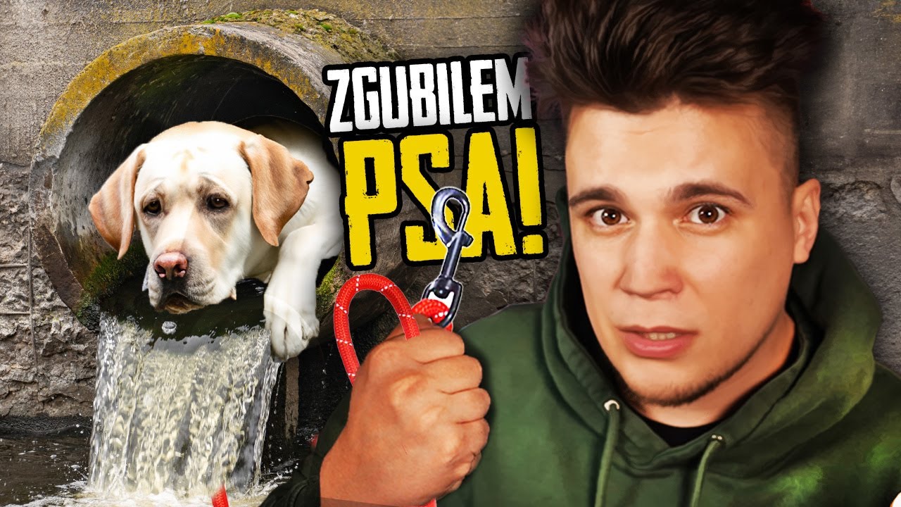 PORWALI MOJEGO PSA?!