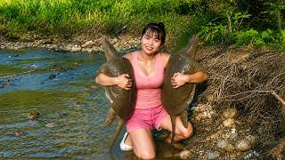 Giant Softshell Turtle Hunting in the Forest Stream | Catching Huge Turtles in the Wild