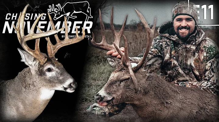 Hunting A Giant Non-Typical Buck In Iowa, Rut Hunting Chaos In November #hunting #deerhunting