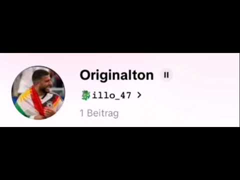 HWZ-ALLE SCHREIEN/SOUND. VON. TIKTOK) #HWZ #ALLESCHREIEN #🔥🔥🔥 