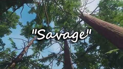 Apex Alliance Editing recruitment Challenge #ApeXRC @Bexo