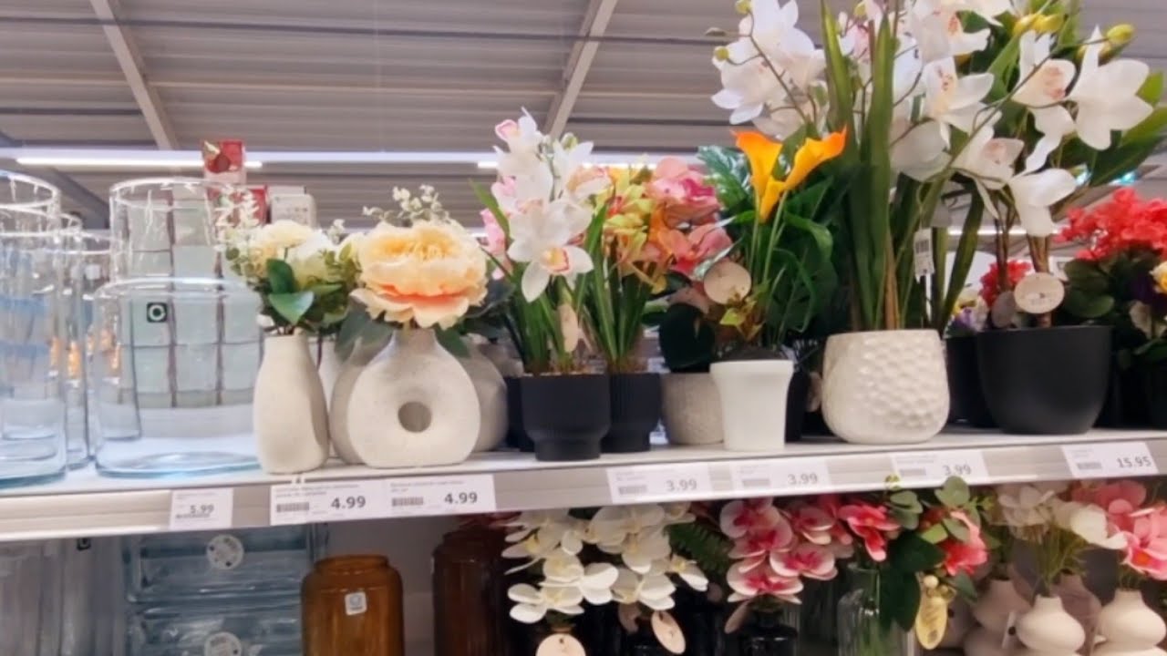 Petit tour à action  _  جولة خفيفة في اكسيون