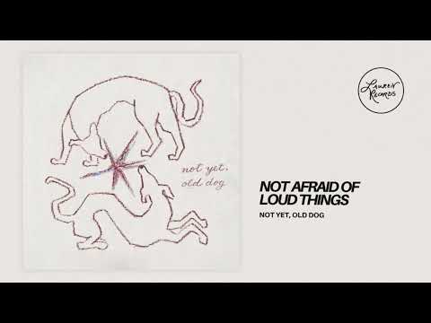 Not Yet, Old Dog - Not Afraid Of Loud Things (Official Audio)