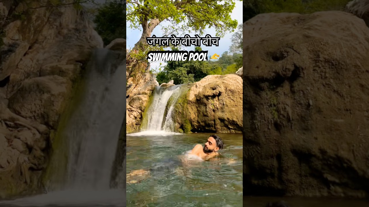 जंगल के बीचो बीच swimming pool 🏊‍♂️ 