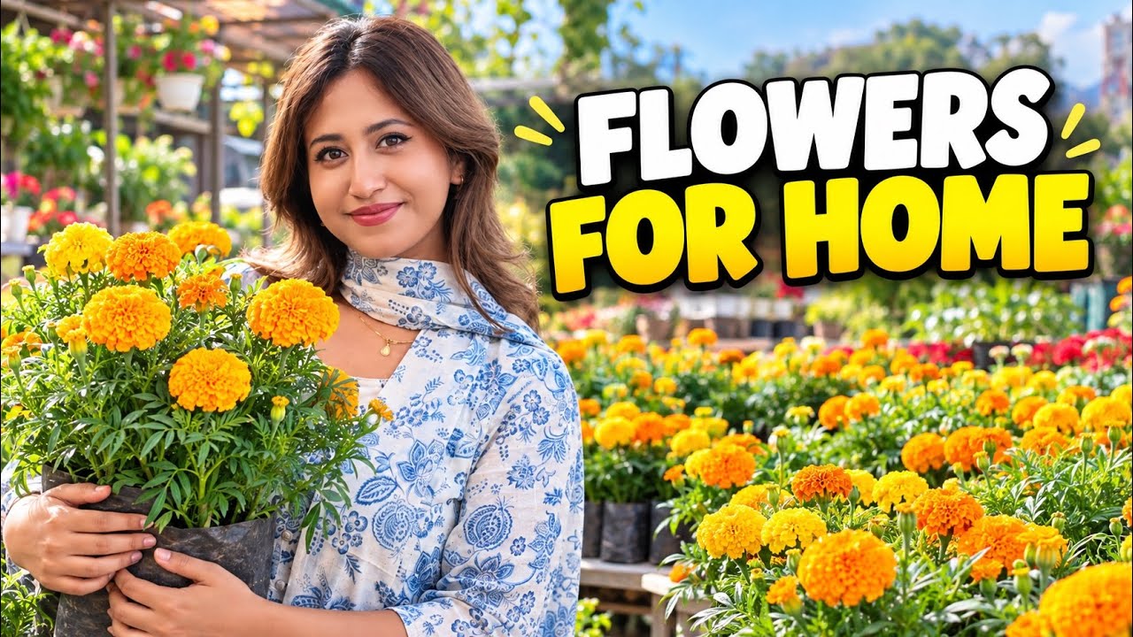 Latest Title & Thumbnail