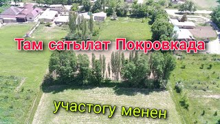 Там сатылат Покровкада плюс участок менен