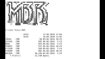 Virus.DOS