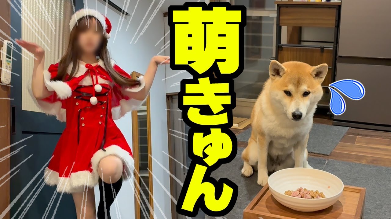 maxresdefault.jpg