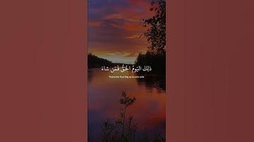 يَوْمَ يَقُومُ الرُّوحُ وَالْمَلَائِكَةُ صَفًّا ۖ  سورة النبأ: 38]