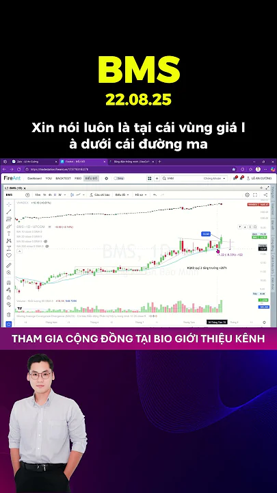 BMS - CỔ PHIẾU TIỀM NĂNG DÒNG CHỨNG KHOÁN | LE AN CUONG CAPITAL