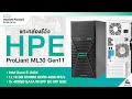 แกะกล่อง รีวิว HPE ProLiant ML30 Gen11