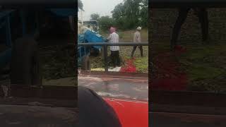 #farming #thereshing #udad pu94