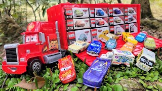 12 Type Tomica Box & Tidying Trailer | Mini Car storage while listening to the voice of birds