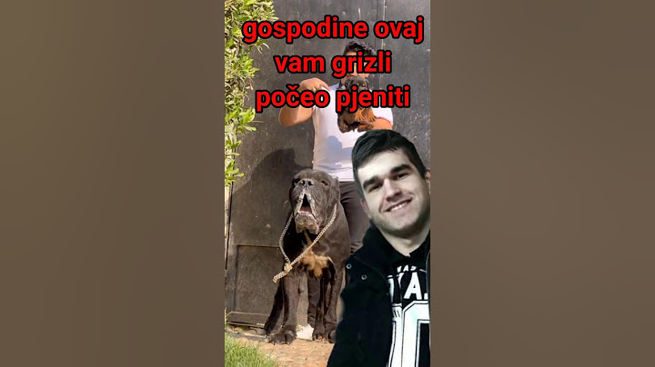smiješni pas dog #smijeh #smehdosuza #pas #dog #smiješno #smesno