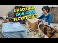 UNBOXING OUR CATS SECRET GIFT - THE PAWS FAMILY