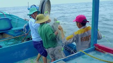 RÙA BIỂN THUỘC VỀ ĐẠI DƯƠNG | Phim ngắn Truyền thông bảo vệ Rùa biển