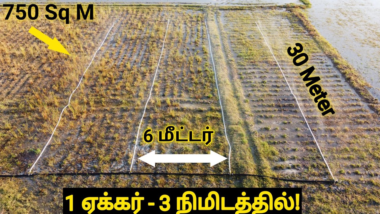 3 நிமிடத்தில் எளிதாக 1 ஏக்கர் நீர் பாய்ச்ச! | அரசின் இலவச HDPE பைப்புடன் VK Rain Pipe