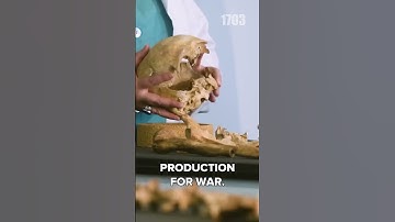 Unveiling Tudor Archery: Secrets of the Mary Rose