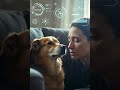 Your Dog Understands You Better Than You Think 🐶 | Incredible Dog Superpowers!