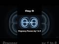 Day 1 to Day 8 pregnancy Duration #pregnancy #duration