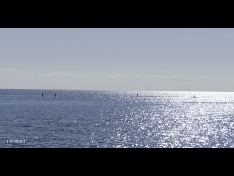Video: Soči U Novembru: Jesenji Odmor Na Moru