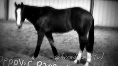 D u a l l y B a b y ♥ ♥