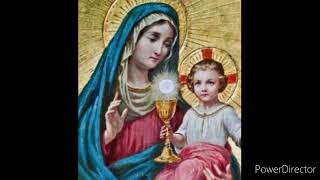 Messaggio della Madonna di Lourdes a Vergemoli del 09/05/2024