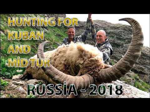 Hunting for Kuban and Mid Tur, Russia 2018