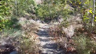 Harding Falls Trail Hike At Cleveland National Forest