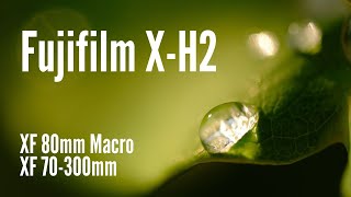 Fujifilm X-H2 with XF 80mm Macro and 70-300 Photo Examples and Advice