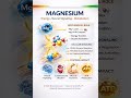 Magnesium: The Mineral Behind Energy, Nerves & Muscle Function