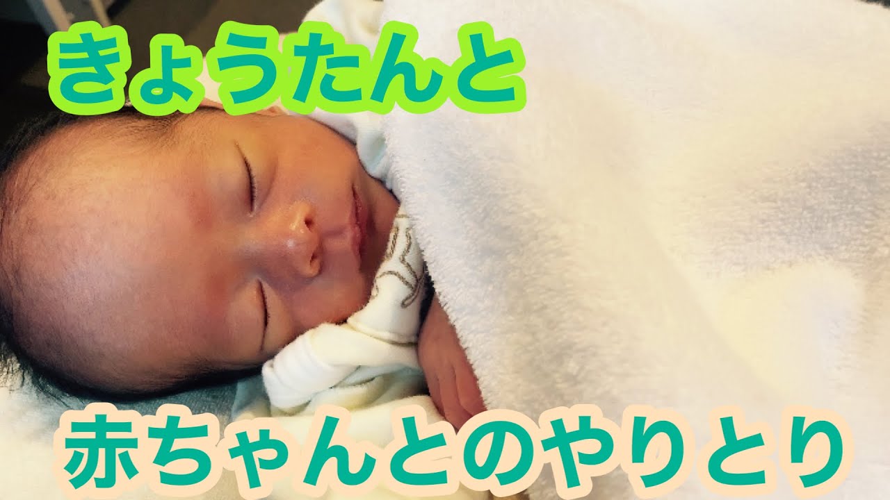 新生児 赤ちゃんときょうたんのやりとり Youtube