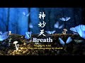 神妙天 /Breath