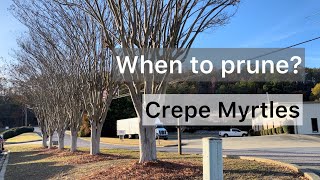 When to prune CREPE MYRTLES
