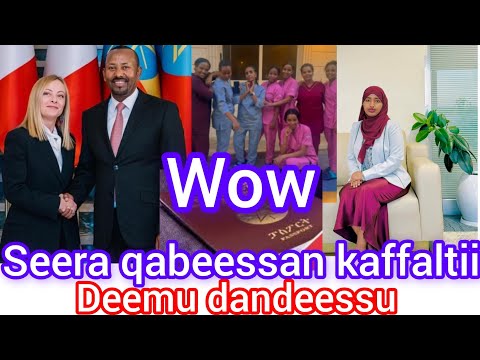 Baga Gammadaan Bilisaan Karaa Seera Qabeessan Biyya Araba Deemu Dandeessu Dallaalan Dhiistan